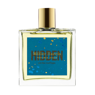 HIDDEN on the Rooftops