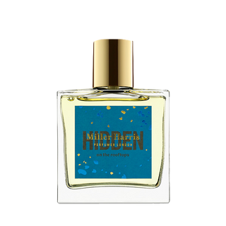 HIDDEN on the Rooftops