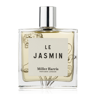 Le Jasmin